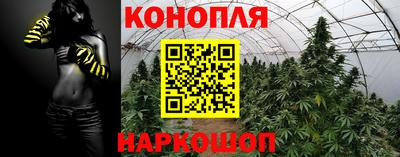 PSILOCYBIN Ивантеевка
