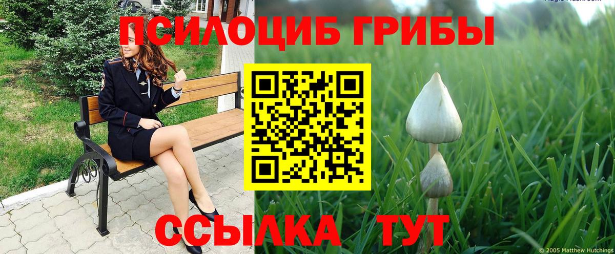 Псилоцибиновые грибы мицелий  Вход с VPN  Майский 